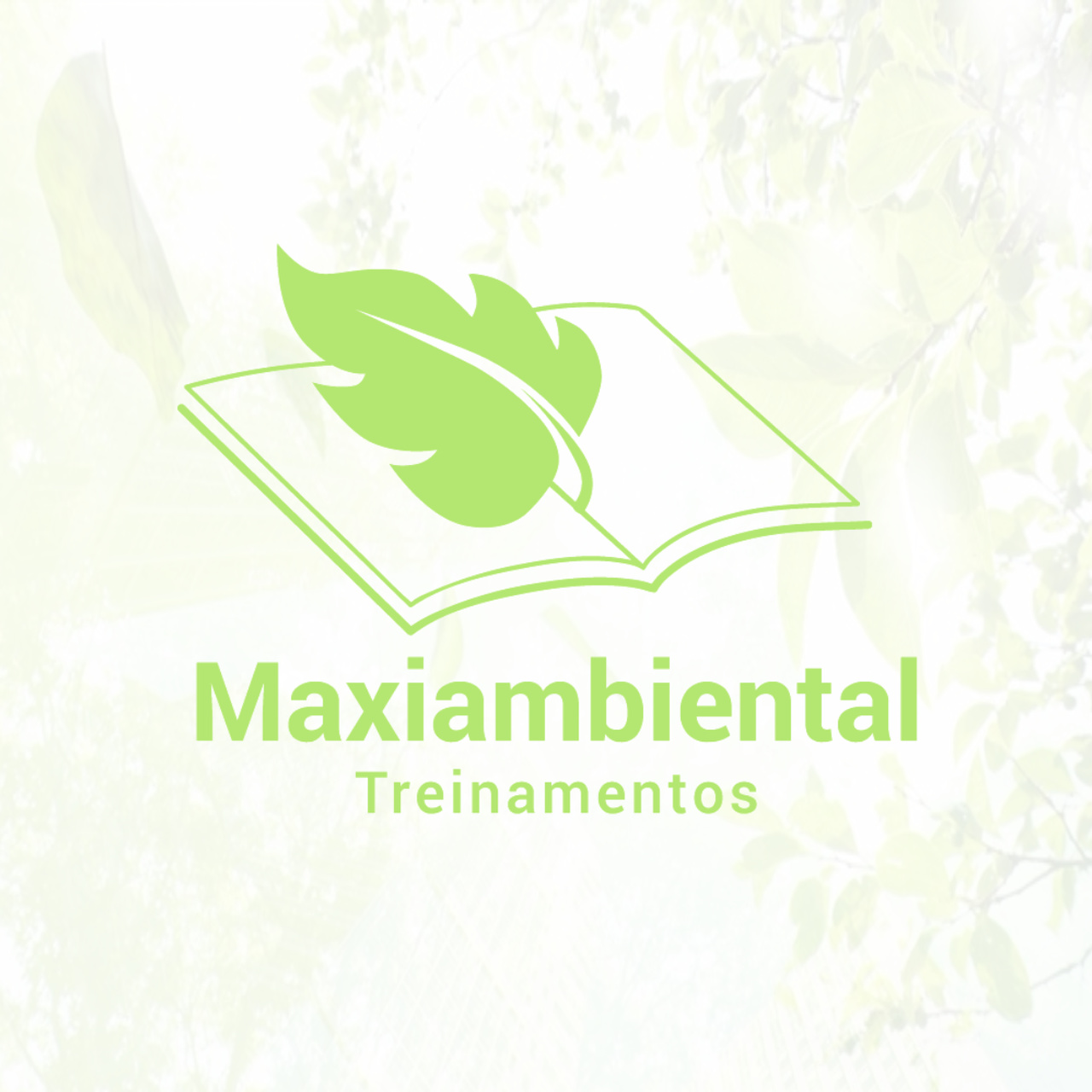 Maxiambiental Treinamentos Ltda
